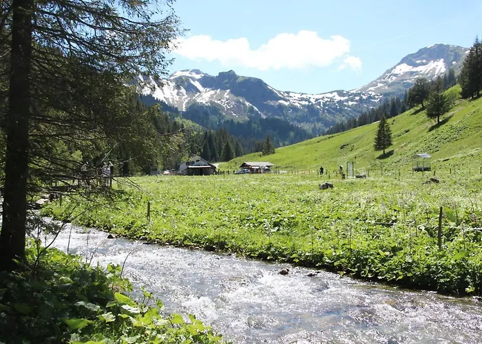 Ze Mountain Lodge, Daire Morgins
