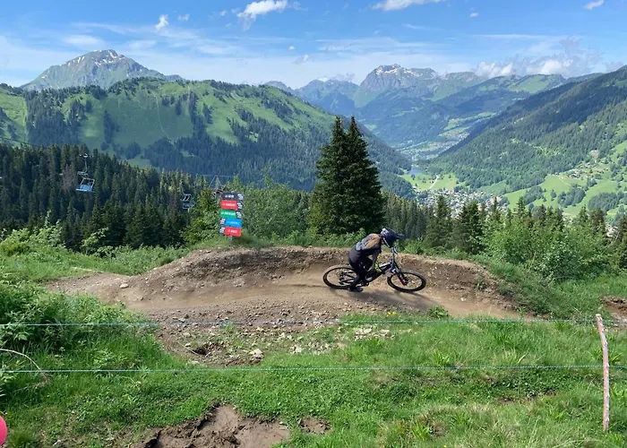 Ze Mountain Lodge, * Morgins