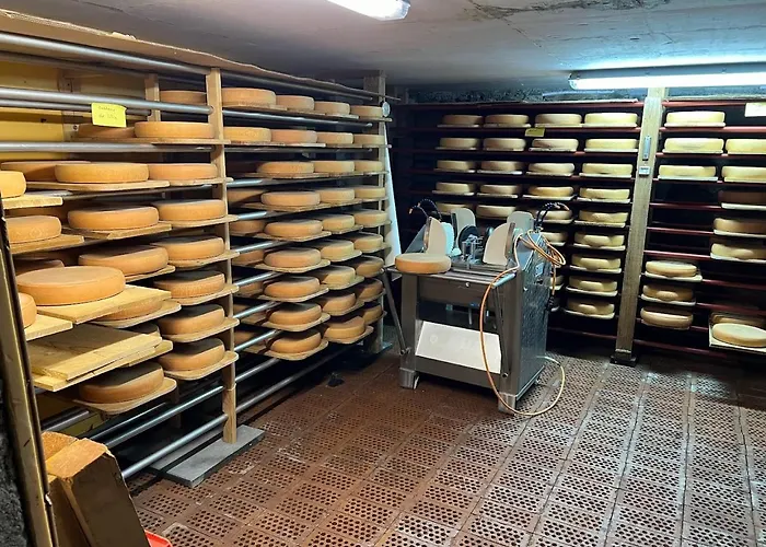 Ze Mountain Lodge, Daire Morgins