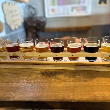 Ze Mountain Lodge, Apartmán *