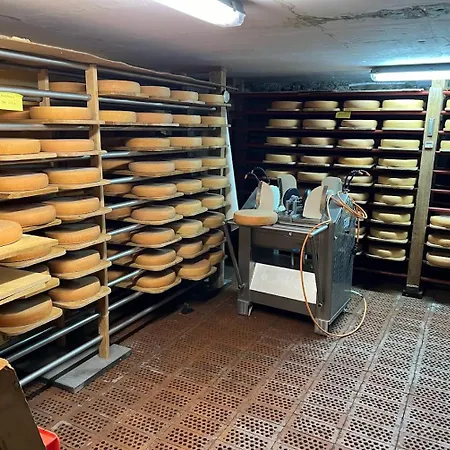 Ze Mountain Lodge, Apartmán Morgins